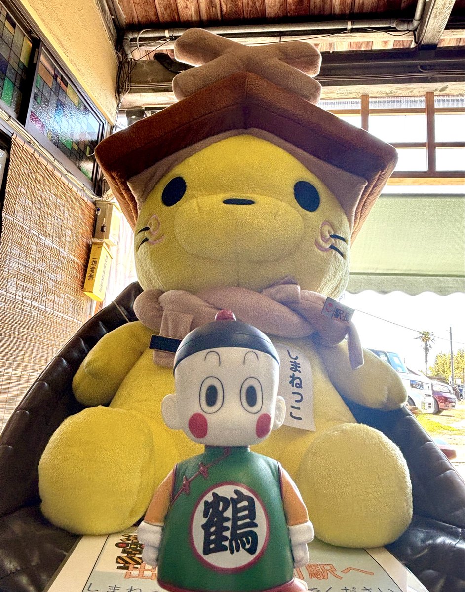 しまねっこ可愛い🥹♡