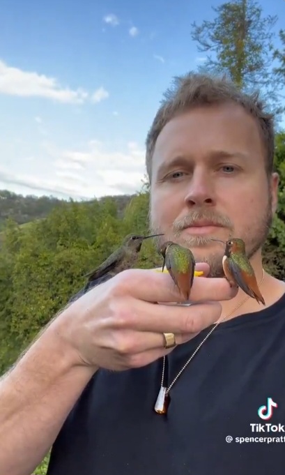 justspaceonline's tweet photo. @johnnymaga "The Spencer Pratt hummingbird content is incredible." 🥹

#sespe
https://t.co/kNNXrzI4tk https://t.co/Q0XtimkE6A
