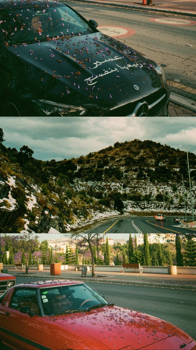 ظهريات في أبها🌨️☔️💜