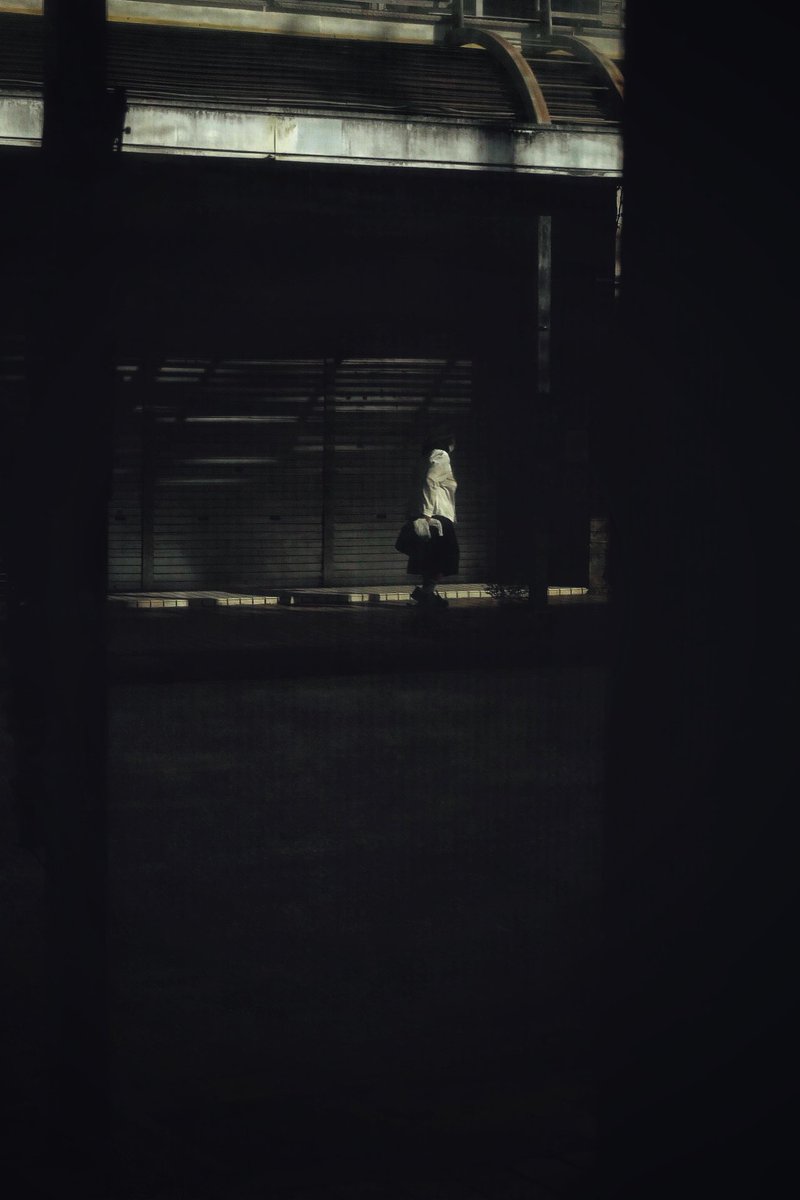 白狐/shiroco tweet media