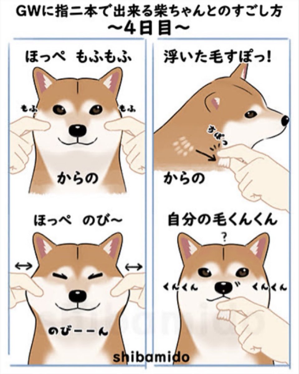 柴三堂@柴犬絵描き人 tweet media
