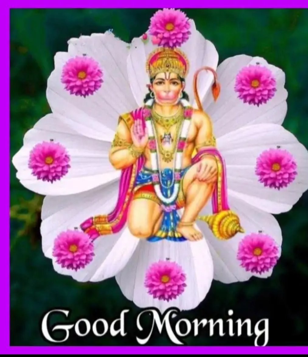 🌷💥सुप्रभात 💥🌷