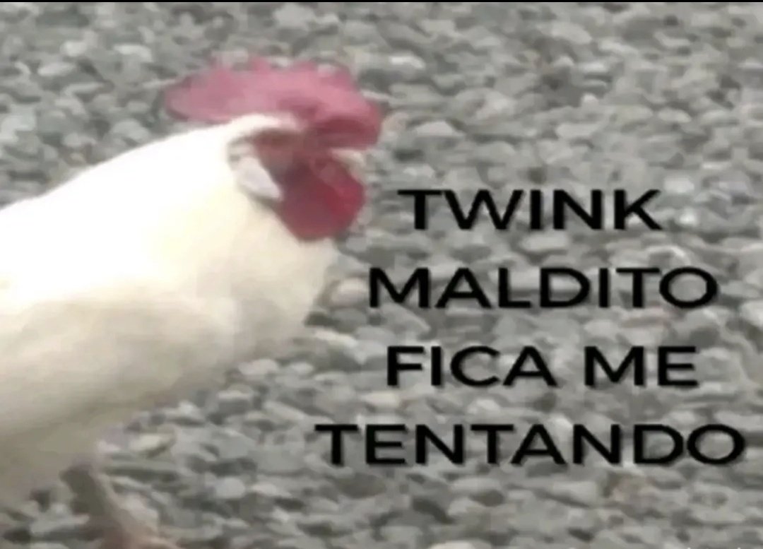 𝐛𝐫𝐞𝐧𝐝𝐨𝐜𝐚!☆ - VAI VER O ENHYPEN! tweet media