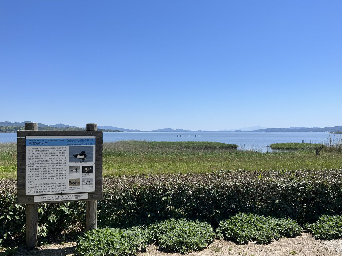 もっちゃん tweet media