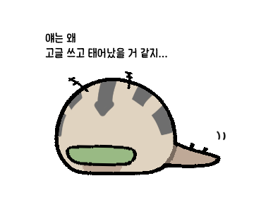 TU우사 tweet media