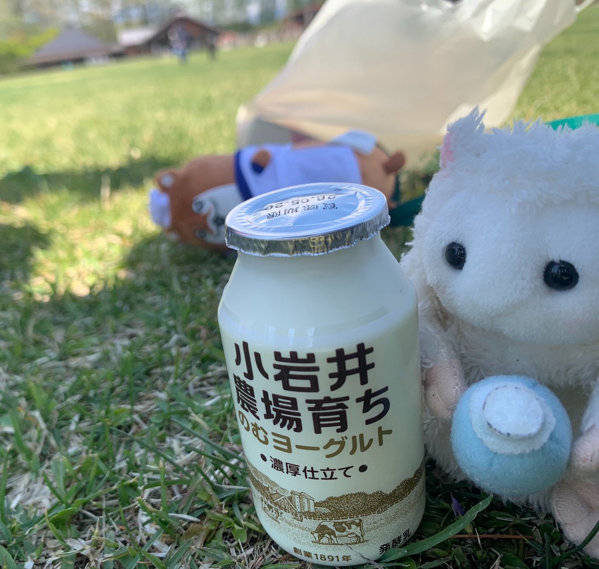 天城ソノ@榛名矢矧嫁提督 tweet media