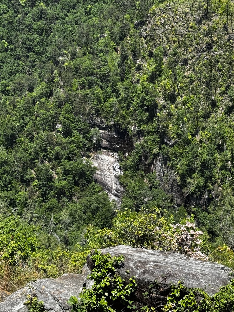 krezae's tweet image. When we explore, she picks the music! 🤘🫈 #Georgia  
#livinganywhere #roadtrip