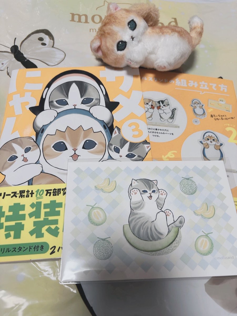 ぢゅのさん🐱✨️ 当選させて頂いたサイン本サメにゃん3が届きました