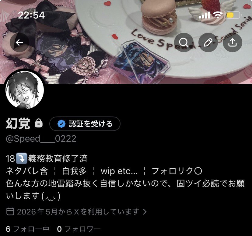 全て私の幻覚によるものです。 tweet media
