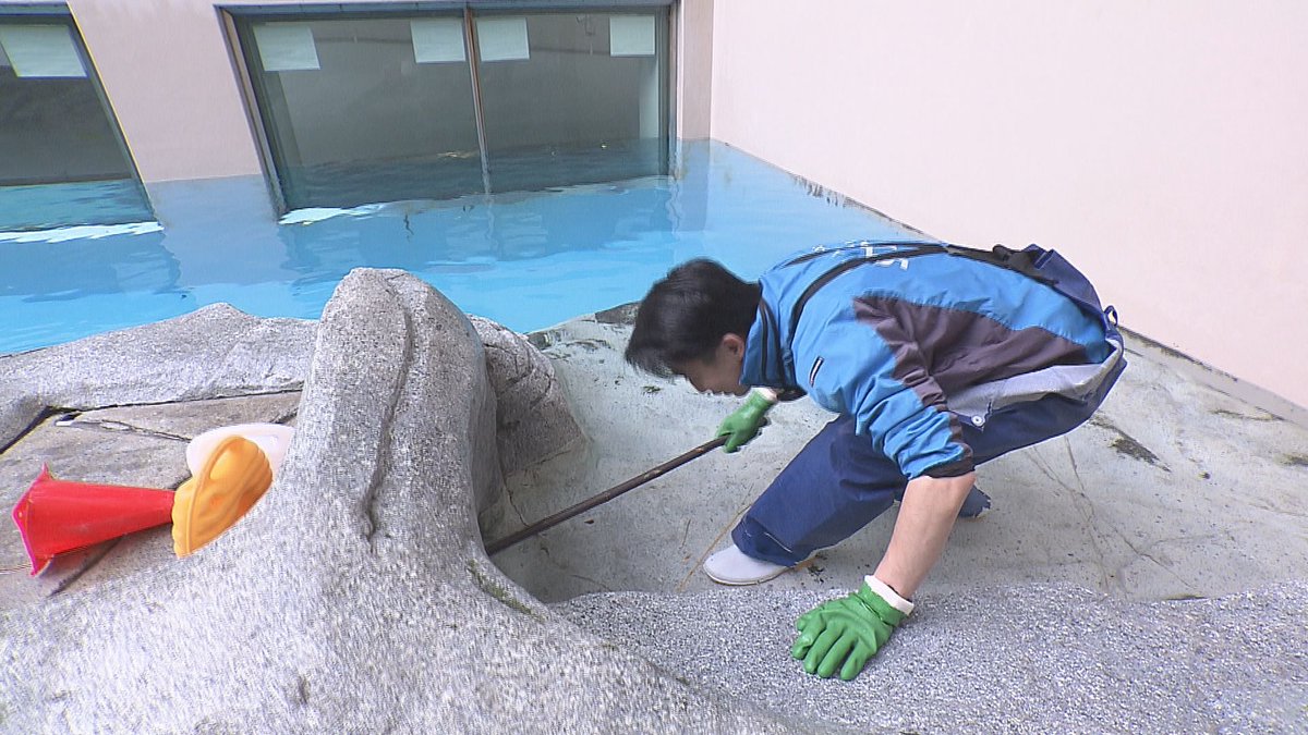 ABSテレビ「えび☆ステ」 tweet media