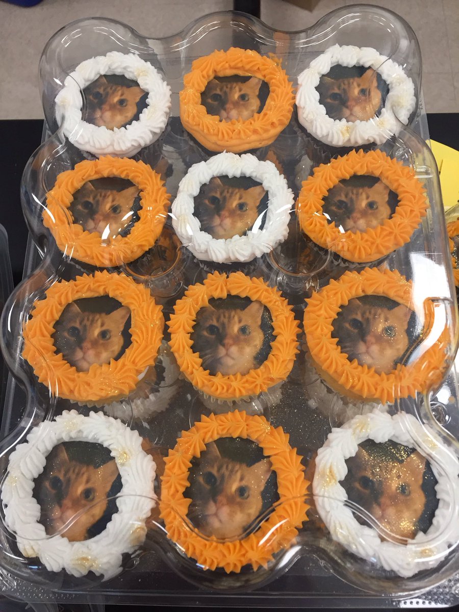 OrangeDude2020's tweet image. One of Dad’s chemistry students brought in homemade cupcakes for #TeacherAppreciationWeek, and she put a picture of ME on all of them!!  😻  I told Dad that he better give her extra extra credit!!  😸😸😸
#Cats #CatsOfTwitter #CatsOnTwitter #CatsOfX #CatsOnX