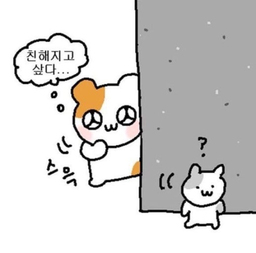 킹모_첫E-F11 tweet media