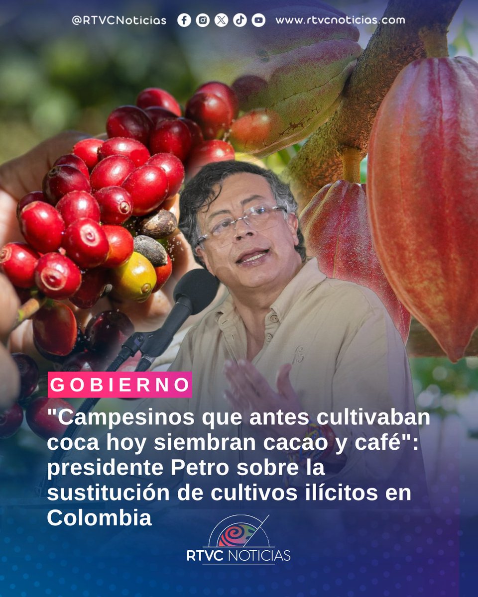 RTVCnoticias's tweet image. 🇨🇴#Gobierno | El presidente @petrogustavo destacó los avances en el cumplimiento de compromisos con el campesinado colombiano mediante la sustitución de cultivos en territorios donde históricamente ha predominado la exclusión.

🗞️Conoce más detalles aquí 👇rtvcnoticias.com/politica/gobie…