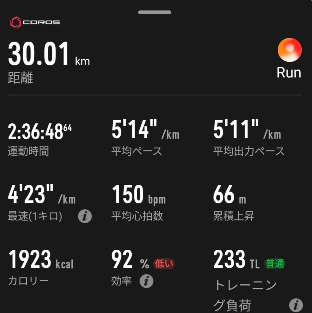 まつ50@5/17福島H、11/3ぐんま10k tweet media