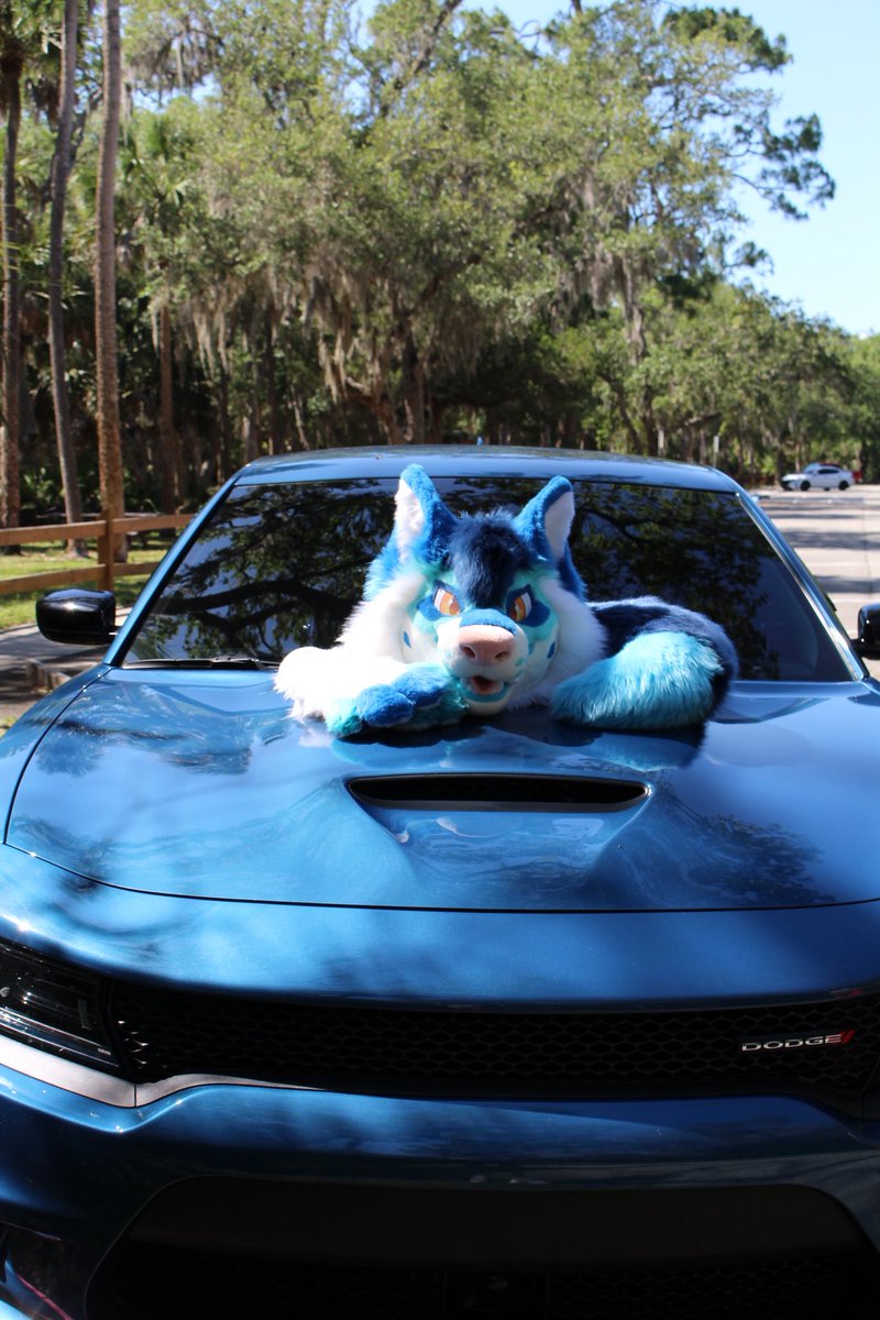 Jaycethepup's tweet photo. What’s a better way to spend a day than car photo shoots with @nasarocket13 big thanks to Sabre for always going along with my ideas and being a great model 🤍 https://t.co/bm7SxezXfw
