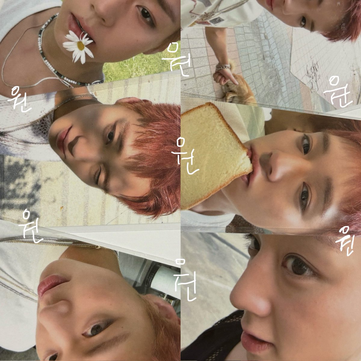 won_529's tweet image. #박지훈 #PARKJIHOON #REFLECT #REFLECT_POPUP

첫날에 갔지만 이제야 올리는 팝업 후기 ... 

지나가는 사람들마다 누구야? 그 왕사남... 하면서 다들 보고가시는데 메이로서 너무 자랑스러웠습니다 ... 🥹

럭드도 처음이었는데 럭드 드볼도 성공해서 기분좋았어요 ~~ 🤭 텅장이지만 행복했던 팝업 !