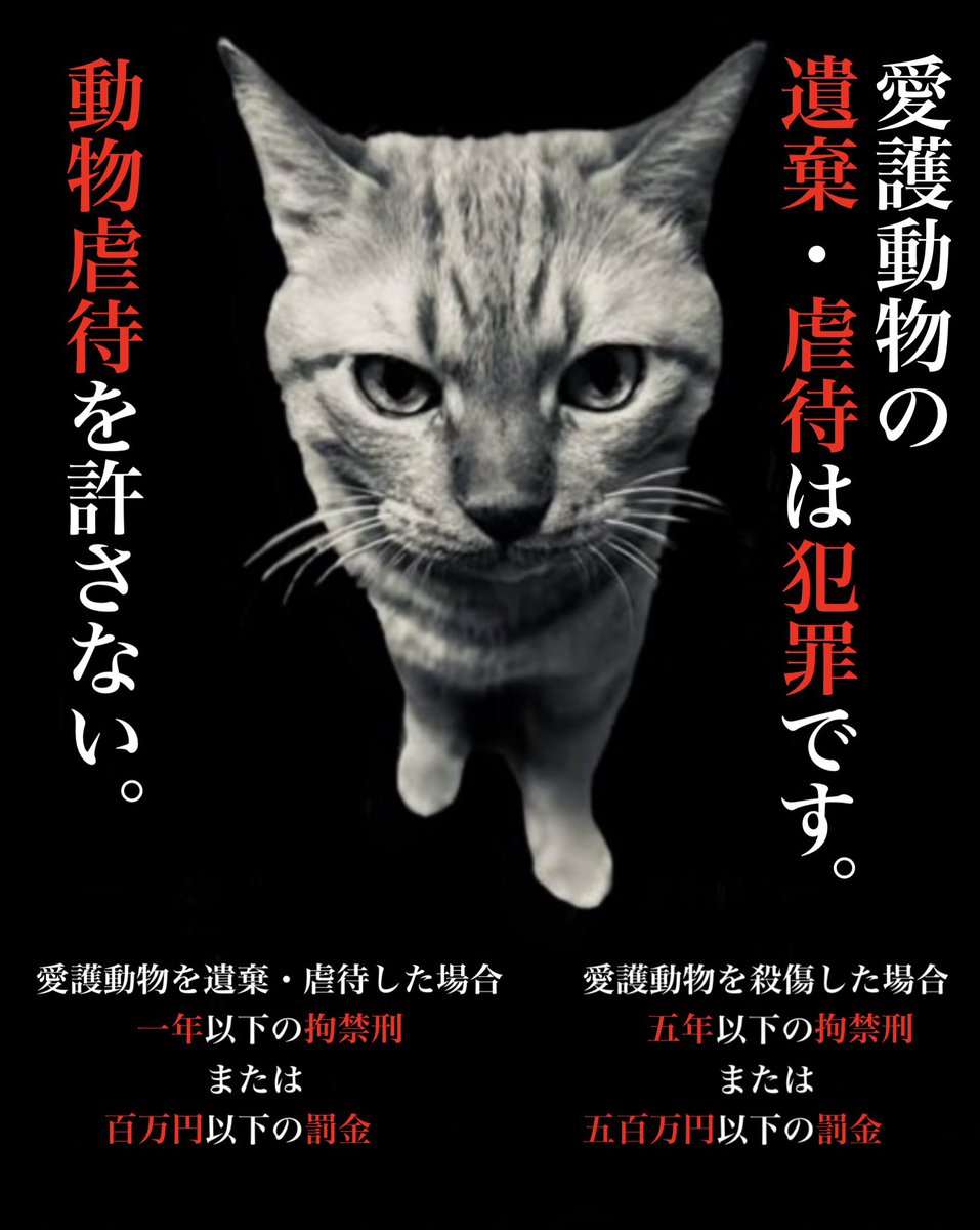 動物虐待・遺棄は犯罪です。
動物虐待、遺棄をなくしたくて啓発ポスター作りました。

5月6日、7日はこげんたちゃんの命日。
こげんたちゃんのように何の罪もない猫が人間の身勝手な都合で捨てられたり虐待されているのが本当に許せない！
#拡散希望
#動物虐待を許さない
#動物虐待は犯罪です