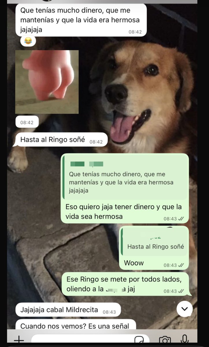 Resulta que un amigo me soñó y 

Soñó a Ringo, esto se está descontrolando jajaja soy Mildred y de apellido Ringo 😂🫶🏻🦮￼🥰❣️