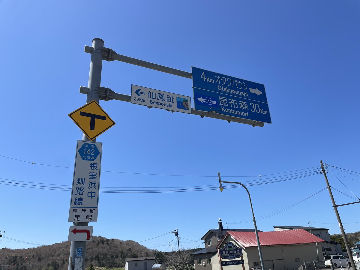 おもち tweet media
