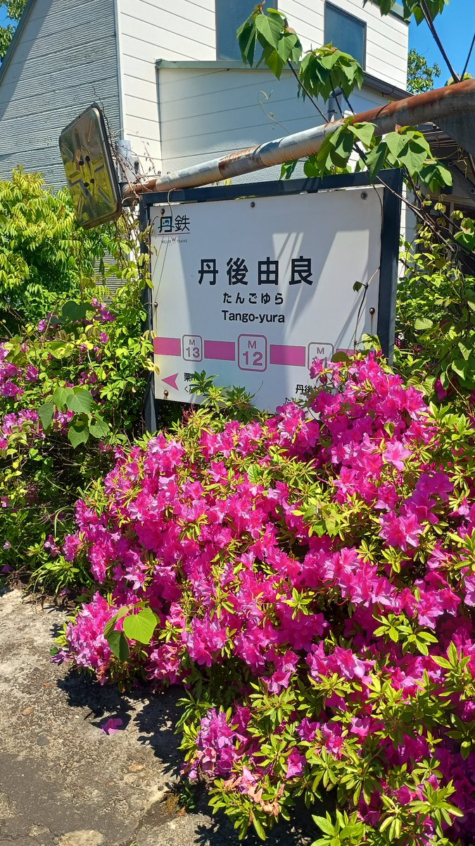 hakuto9 tweet media