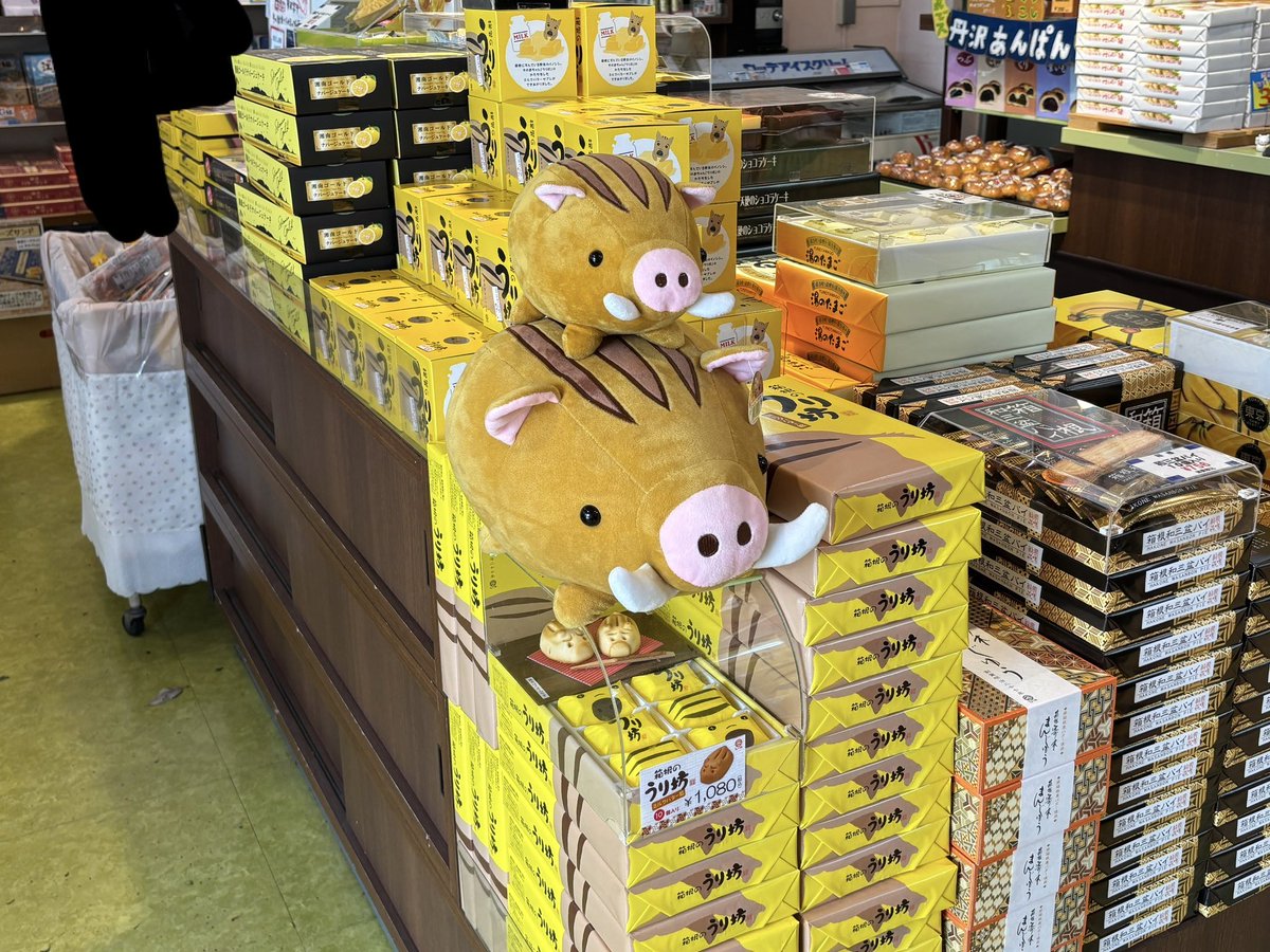 お土産屋さんにて　うり坊を売るうり坊