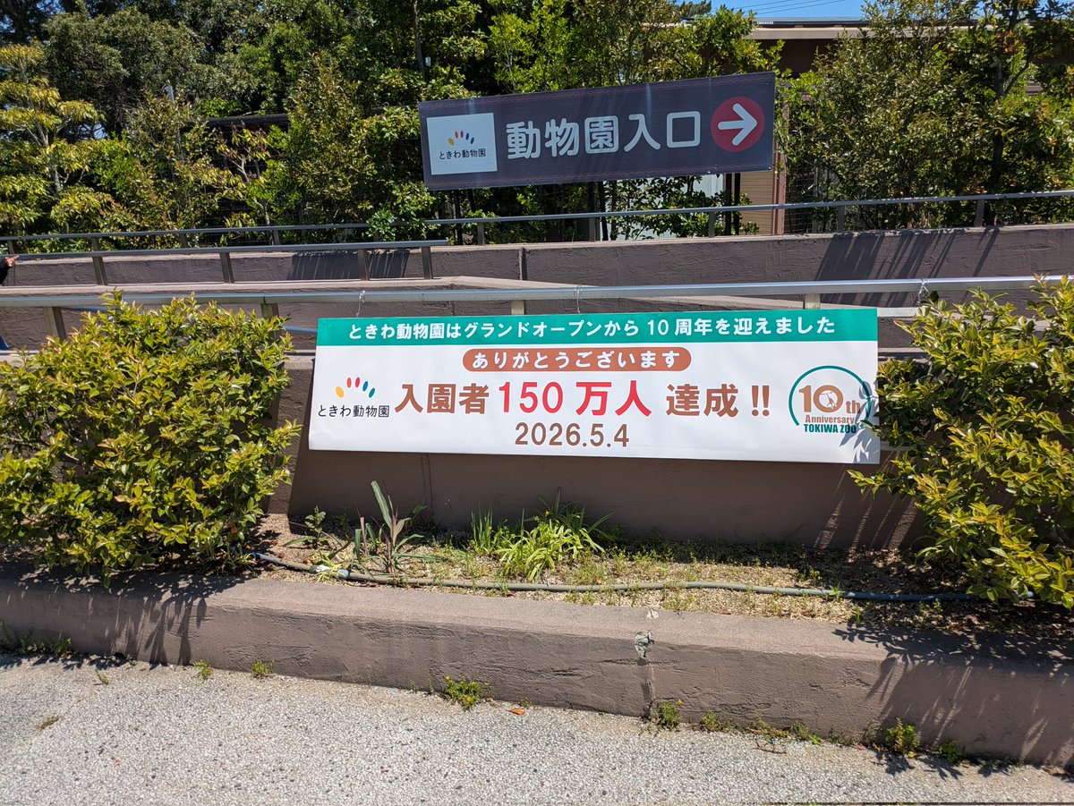 でるた＠あやせ tweet media