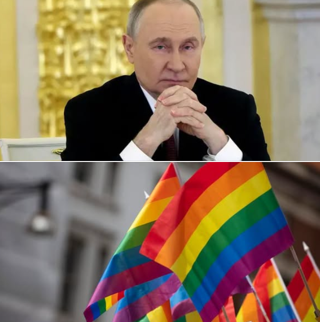 Noticias LGBT+ tweet media