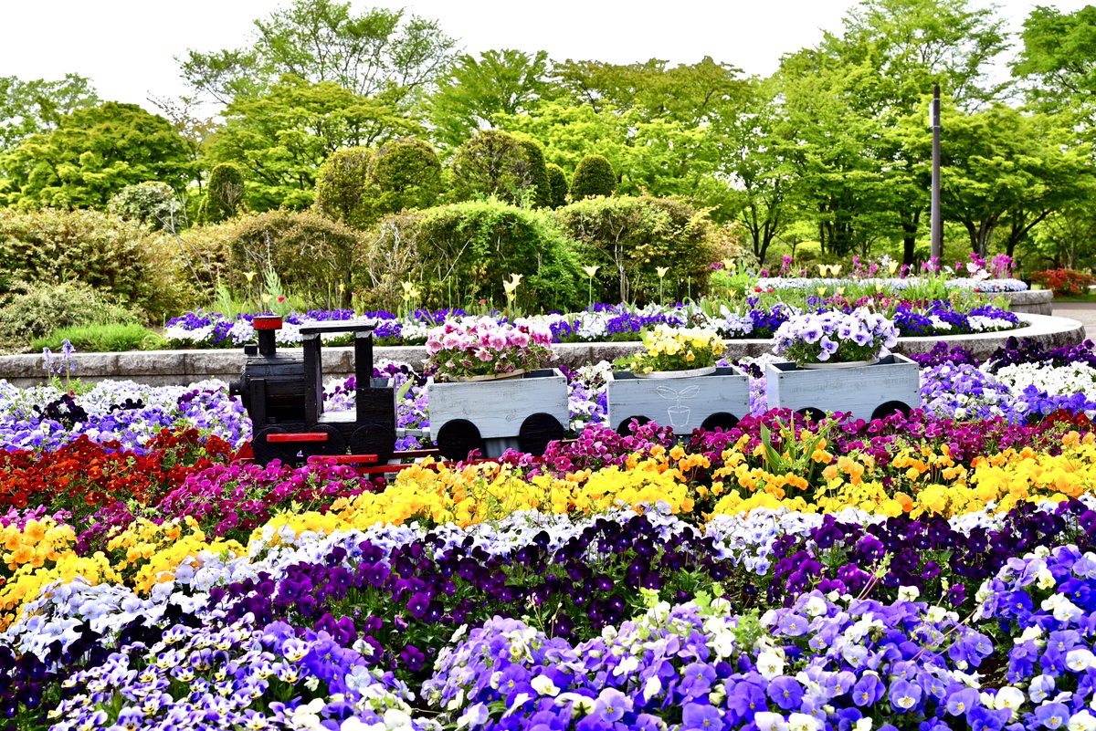 はむにゃん@写真 tweet media