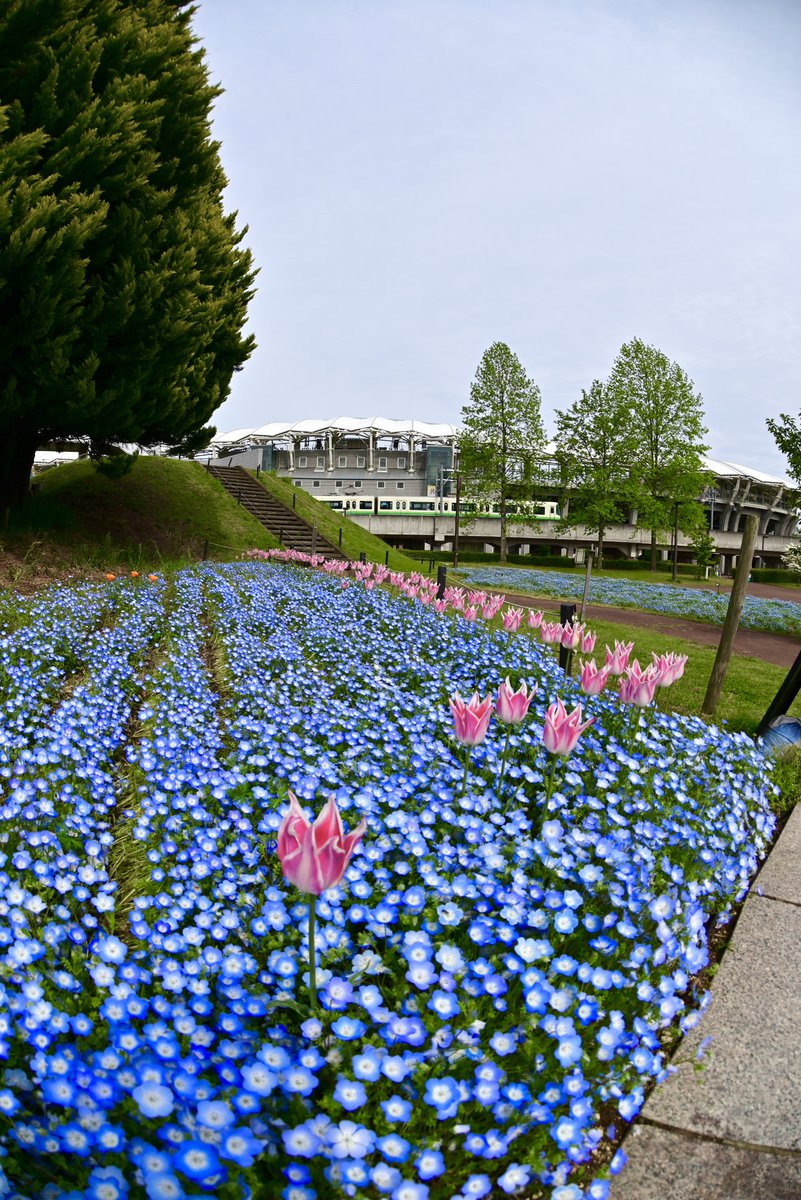 はむにゃん@写真 tweet media