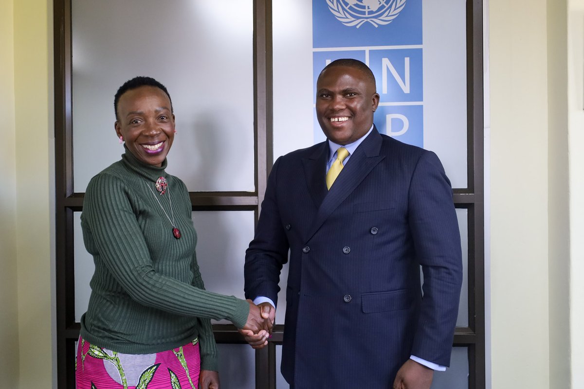 UNDP Lesotho tweet media