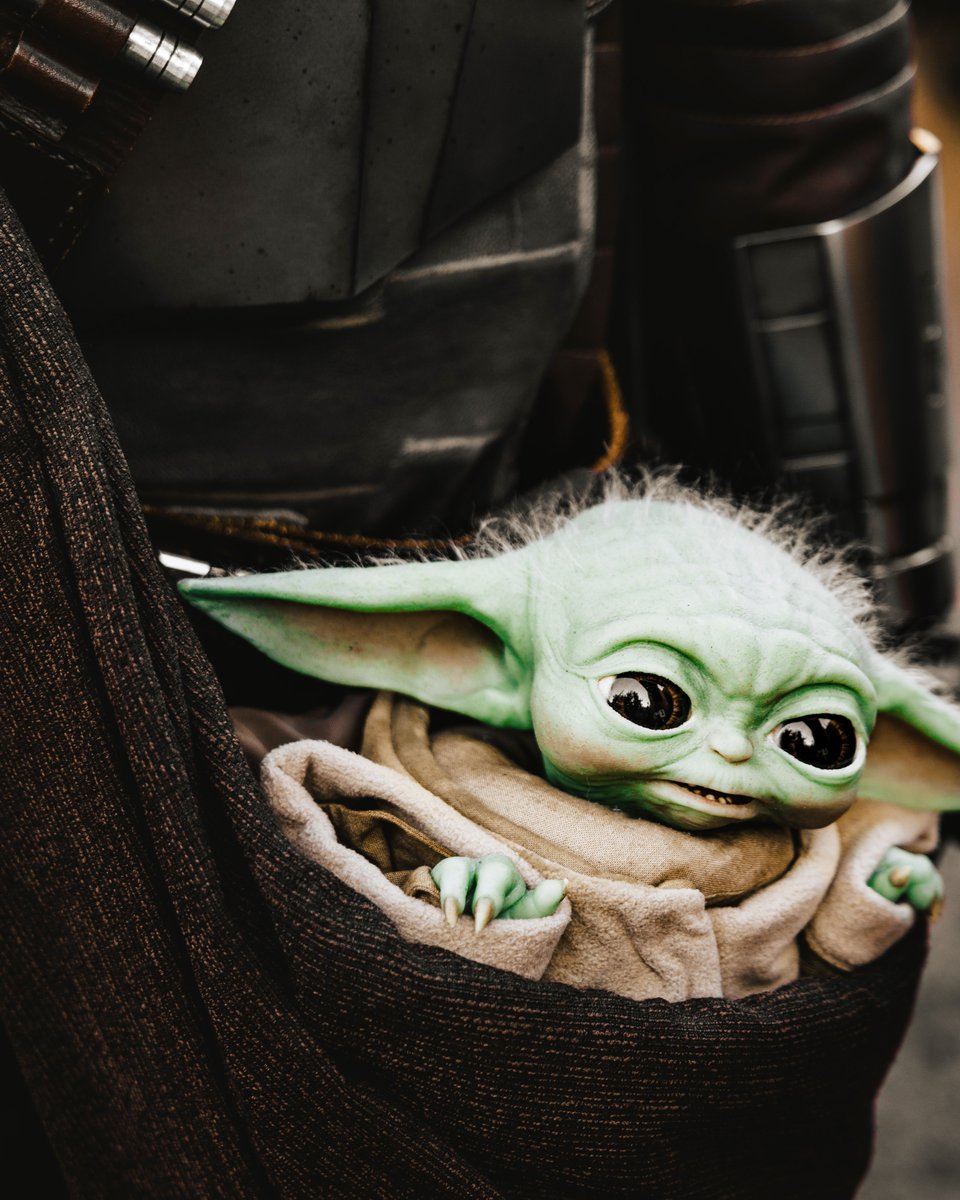 dannysframe's tweet photo. Late to the party but happy Star Wars Day https://t.co/SPvlTsvHi2