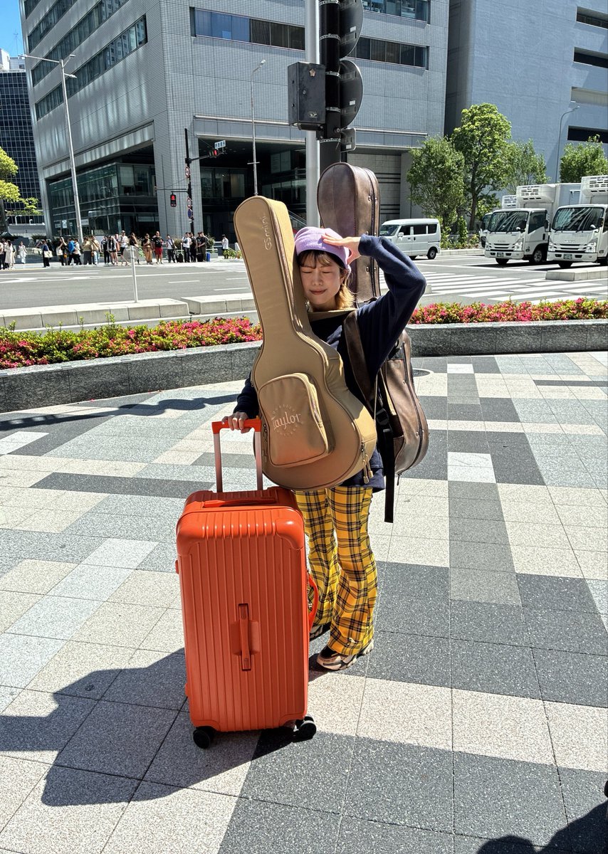 みーぽん みーぽん。staff (@mipon_staff) / Posts / X