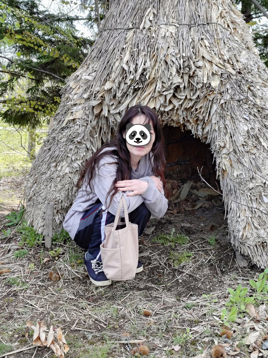 🐼セイボー🐼 tweet media