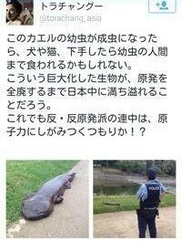 3着芸人あきの tweet media