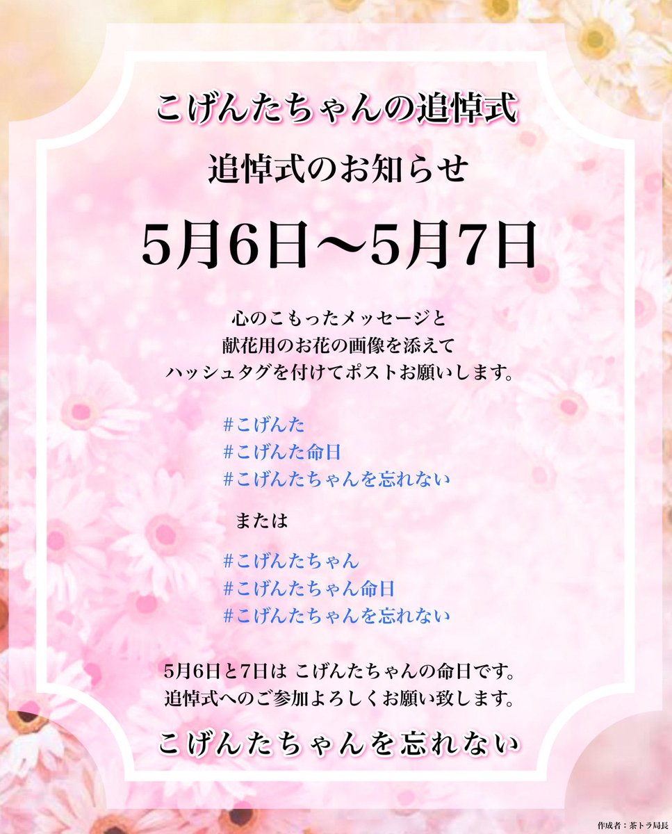 茶トラ局長 tweet media