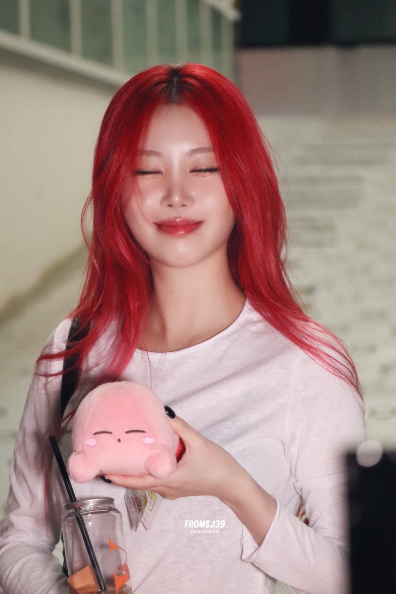 새싹고래 tweet media