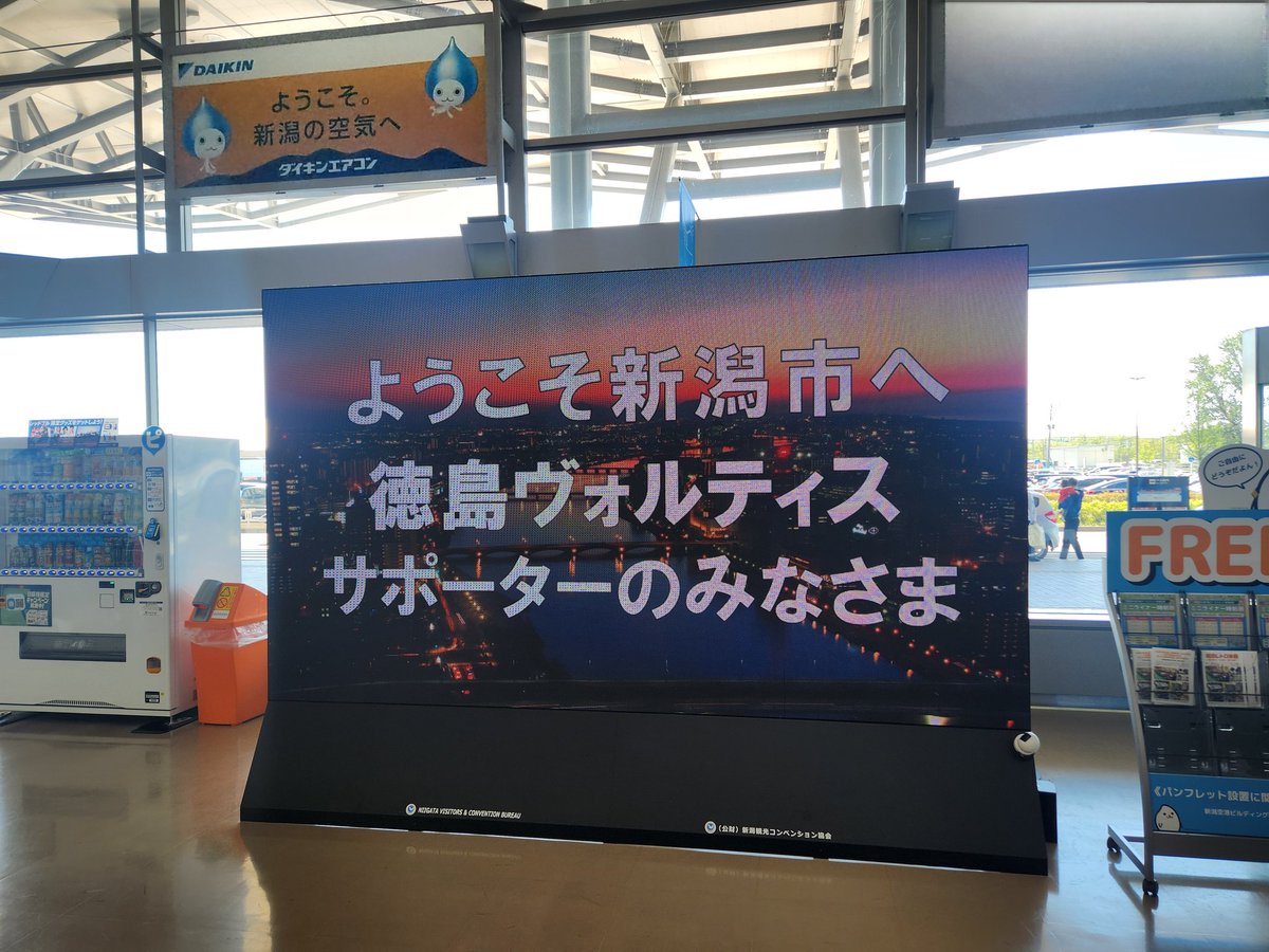 まーみ姐 tweet media