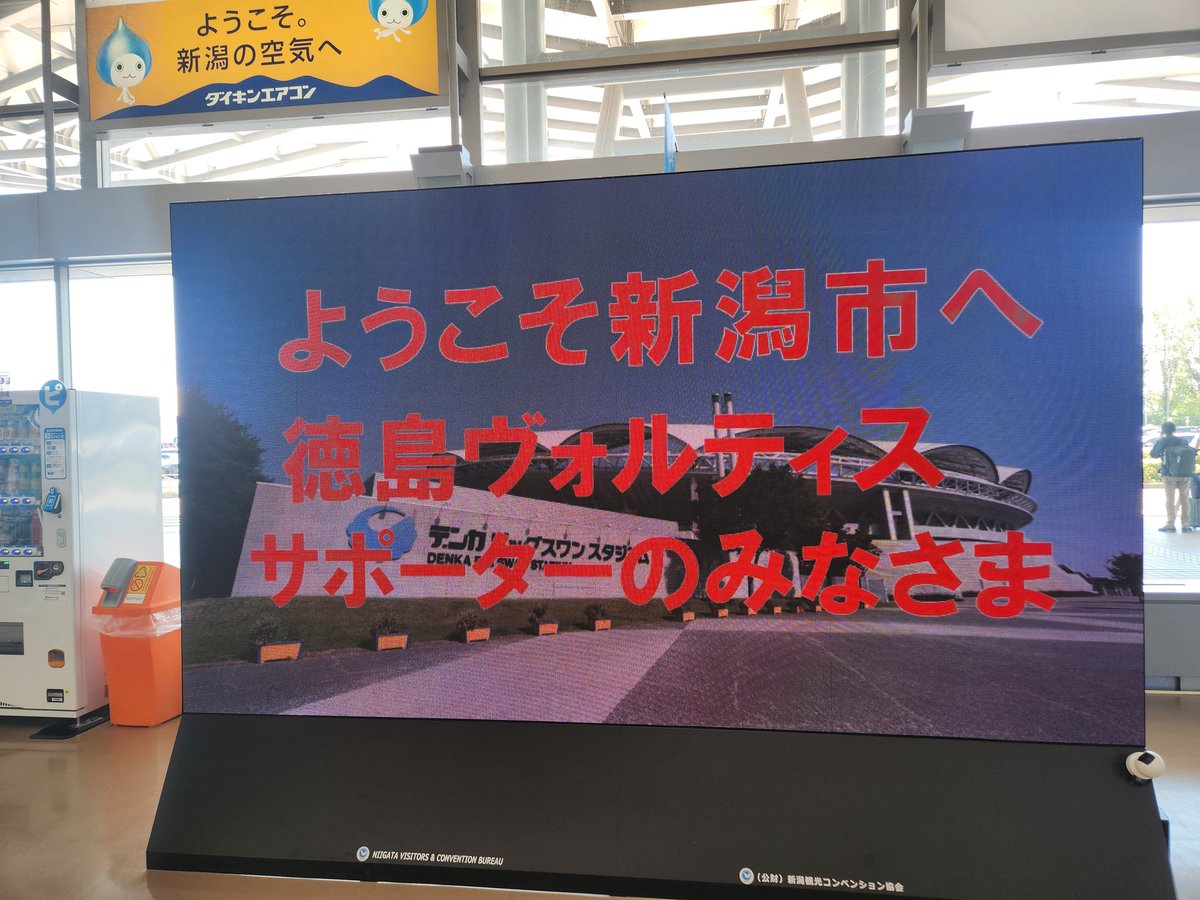 まーみ姐 tweet media