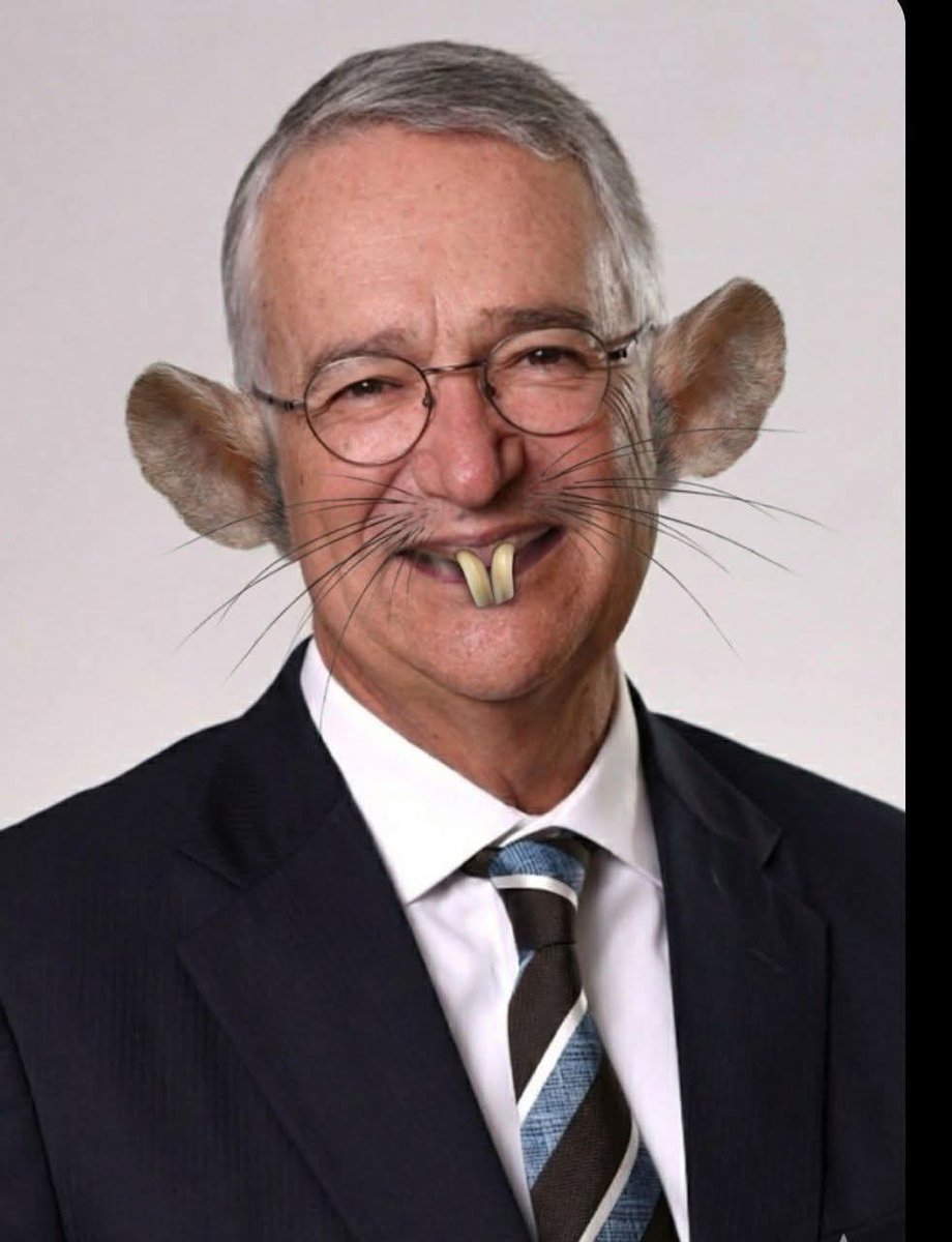 La cobarde rata Salinas Pliego no sabe escribir. Me bloqueó cuando le demostré que sus millones no le quitaban lo ignorante, inculto y analfabeta que es. #DientesDeBurro chillón, rata, analfabeta, cobarde, ignorante, inculto, pedófilo y p3nd3jo.