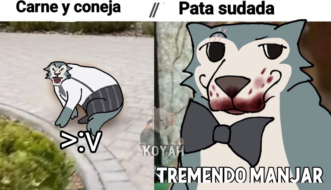 Koyah D'Riz 🐏🐻 tweet media