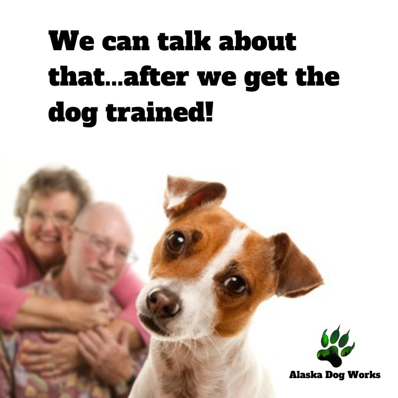 dogworksradio's tweet photo. We Help People Become Better Dog Owners

Join the 6000+ dog owners who subscribe for advice, inspiration, and encouragement for building a better relationship with their dog.

https://t.co/qIyRdewpWV https://t.co/37KTbLCmmd