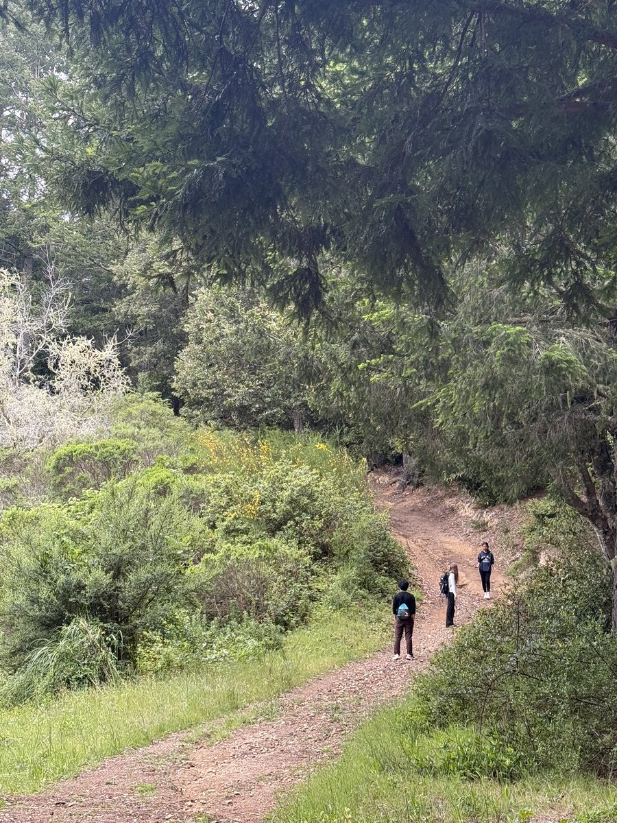 went hiking w friend. saw banana slugs for the first time!