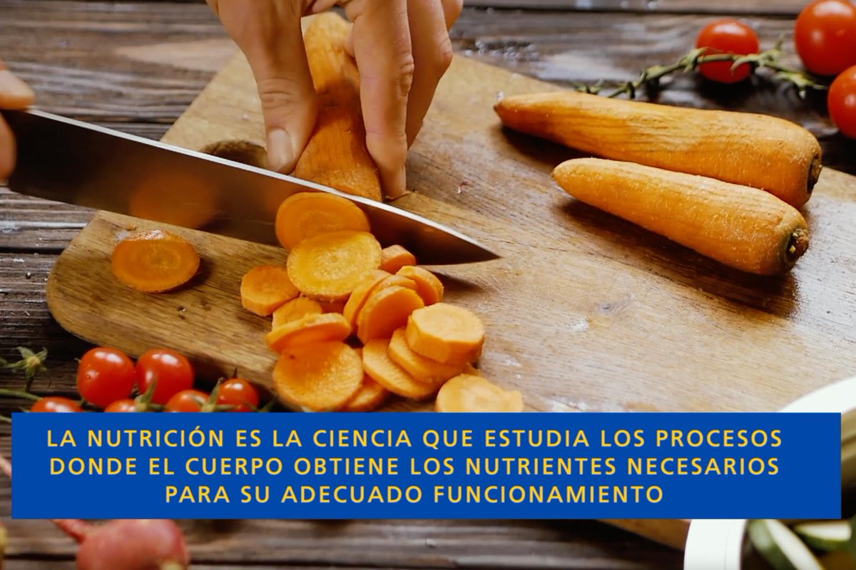 AgenciaUVAQ's tweet image. La #Nutrición es una herramienta esencial para la prevención y el cuidado de la #salud, comentó la Mtra. Miriam Álvarez, Directora de la Licenciatura en Nutrición de la @uvaq. 
Nota youtu.be/fk0IibjIFP0
+Info uvaq.edu.mx/nueva-noticias/
#CalidadAcadémica #EnlaUVAQEresTú