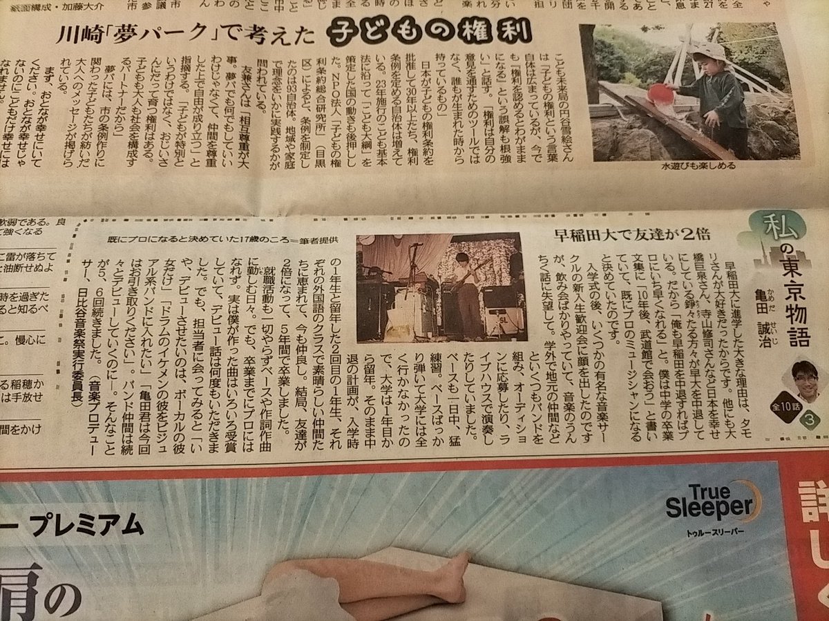マヤコ蝶々 tweet media