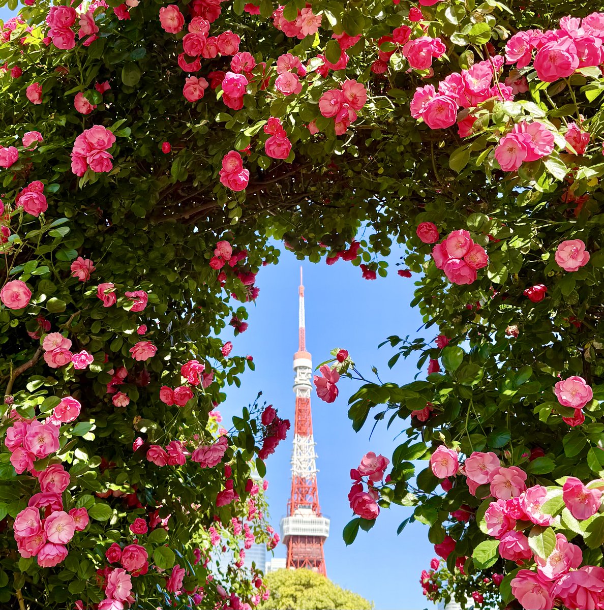 極上の旅図鑑 tweet media