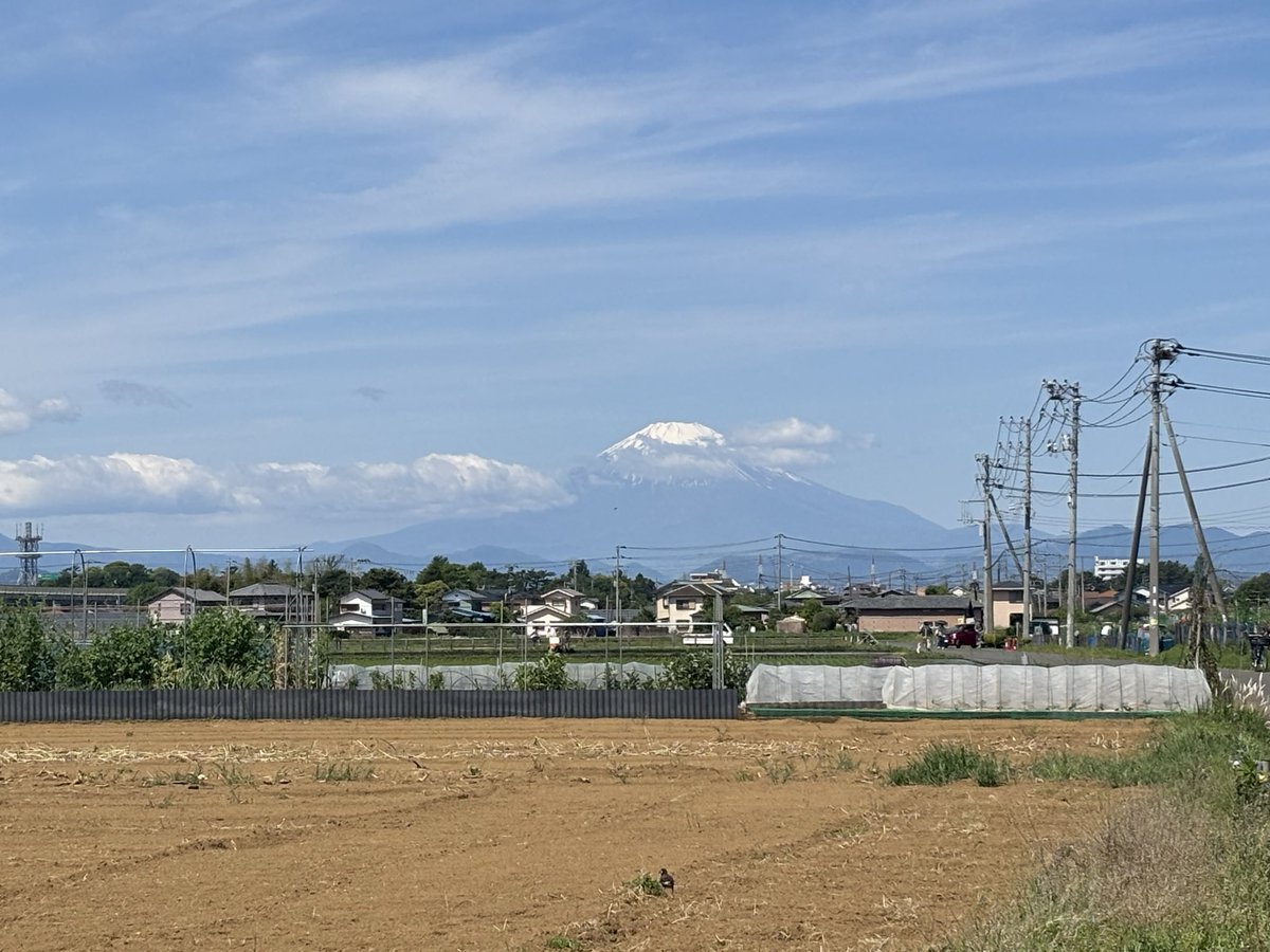 sherry_nao0408's tweet image. 2時間弱歩いて1匹も見掛けなかったしダイマモンメン色違いに逃げられたんじゃなく逃げて🤣
野生の🐿️見てもう諦めた🤦🏿

#Pokémongo
#Pokemongo
#ポケモンgo