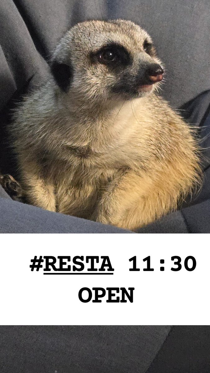 RESTA西九条　Cafe&Music tweet media