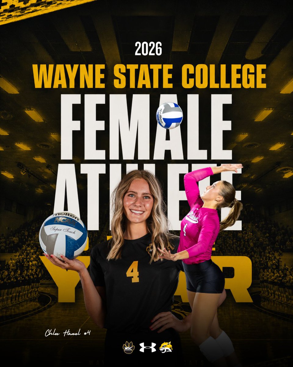 WSC Wildcat Volleyball tweet media