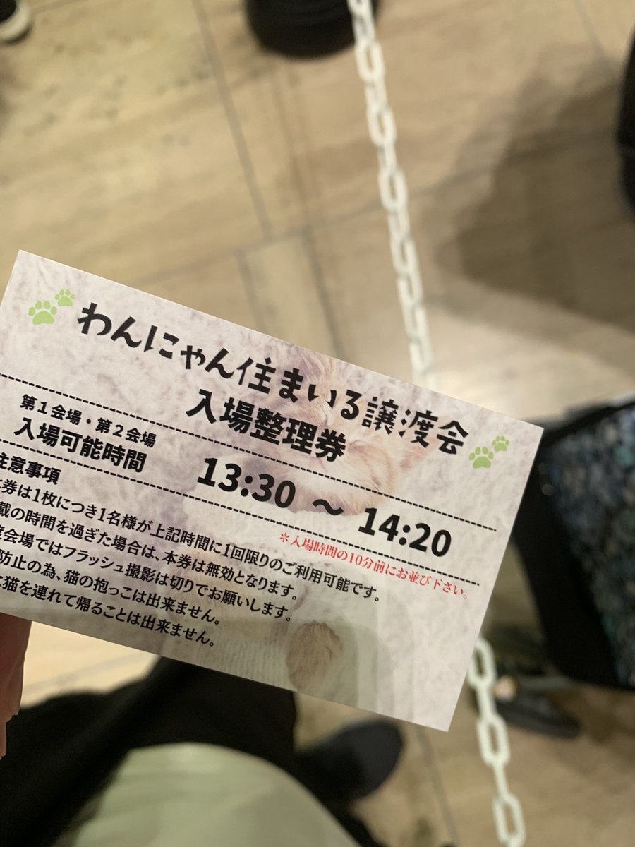 るのん tweet media