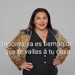 maria del carmen torino tweet media